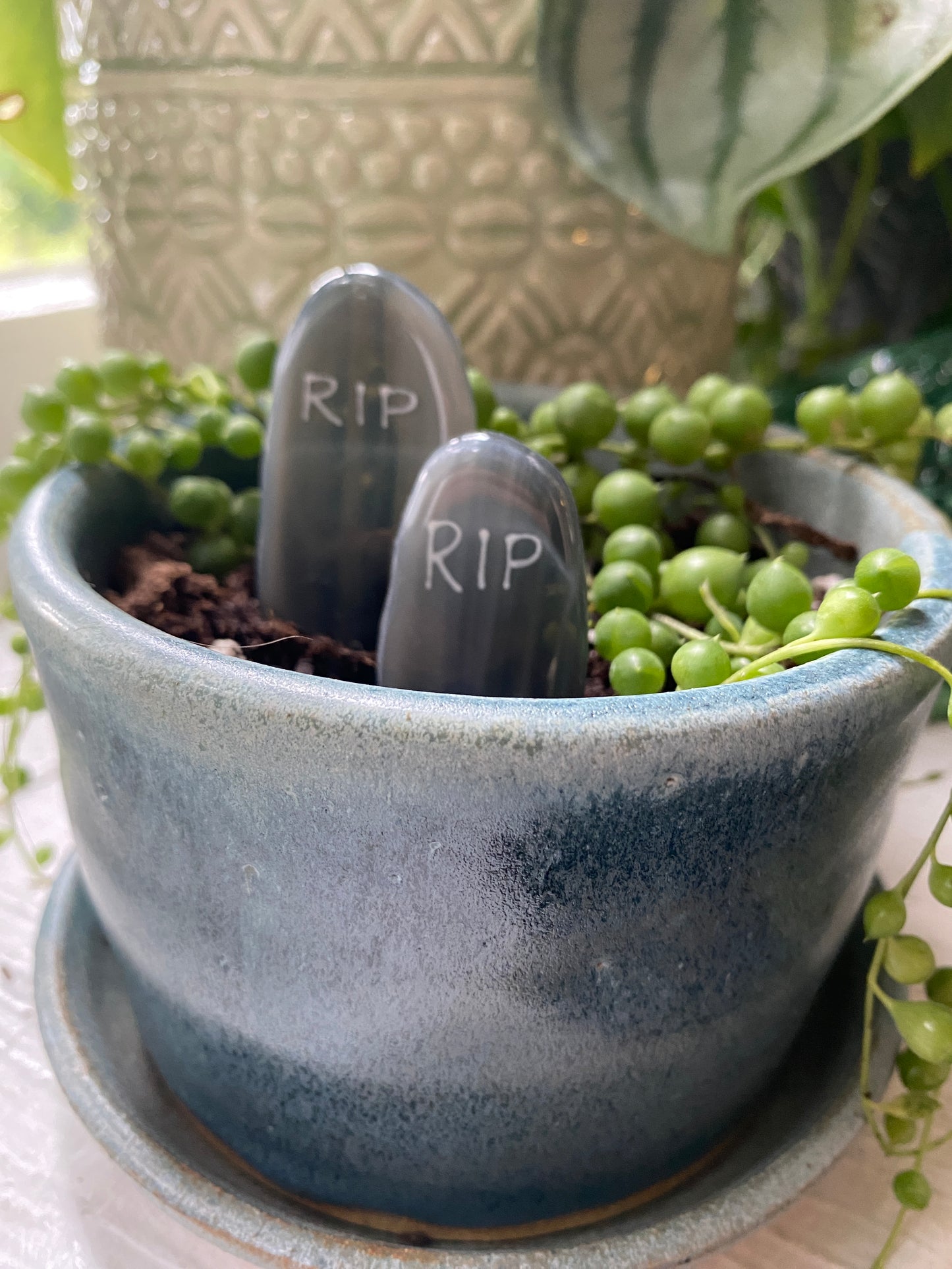 Tombstone Plant Stakes