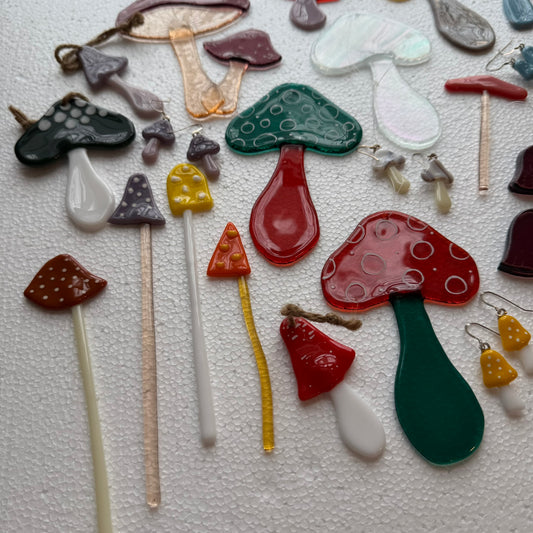 Mushroom Mystery Box