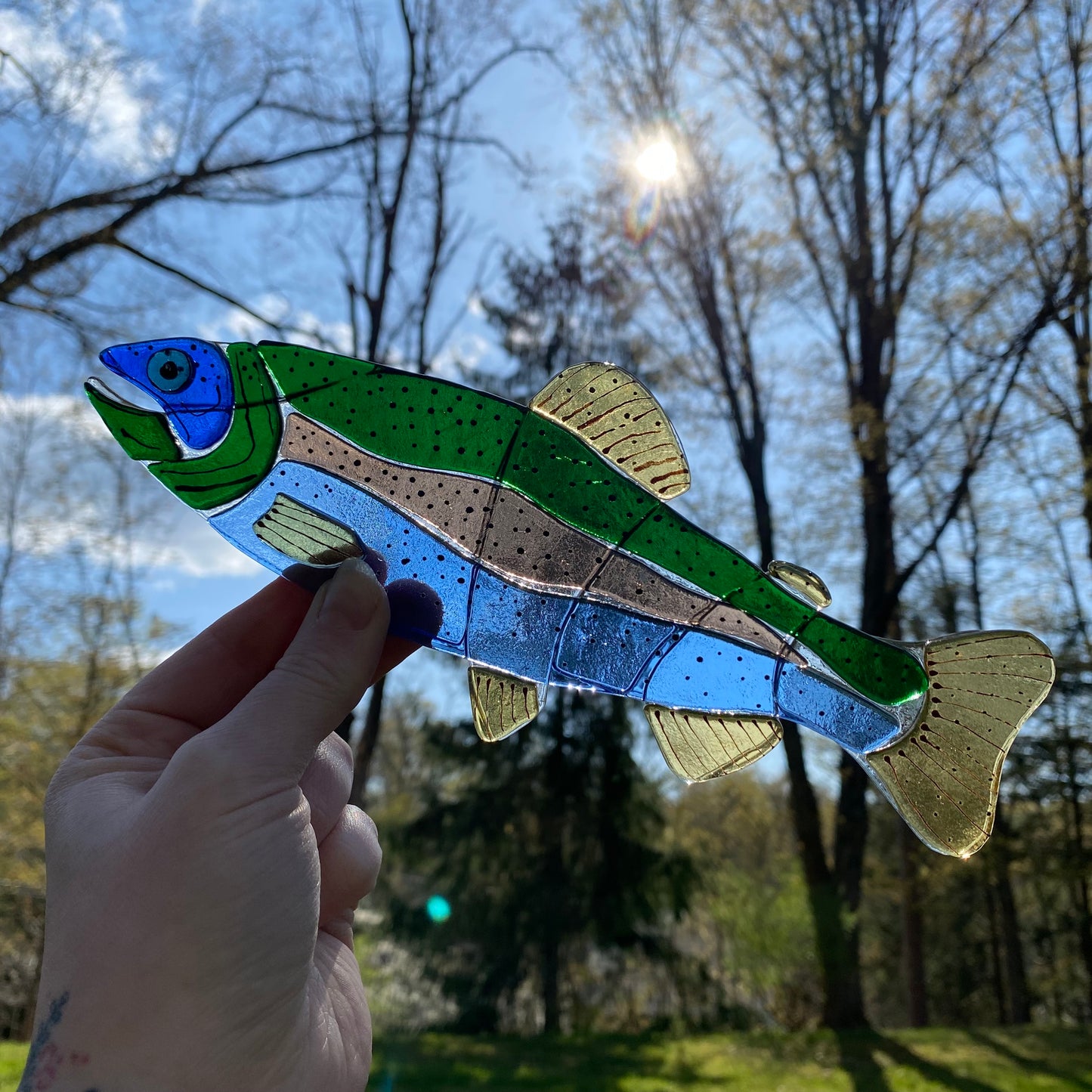 Iridescent Rainbow Trout Sun Catcher