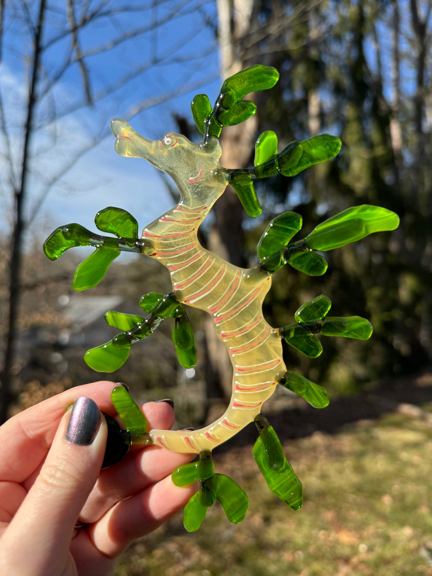 Leafy Sea Dragon Suncatcher