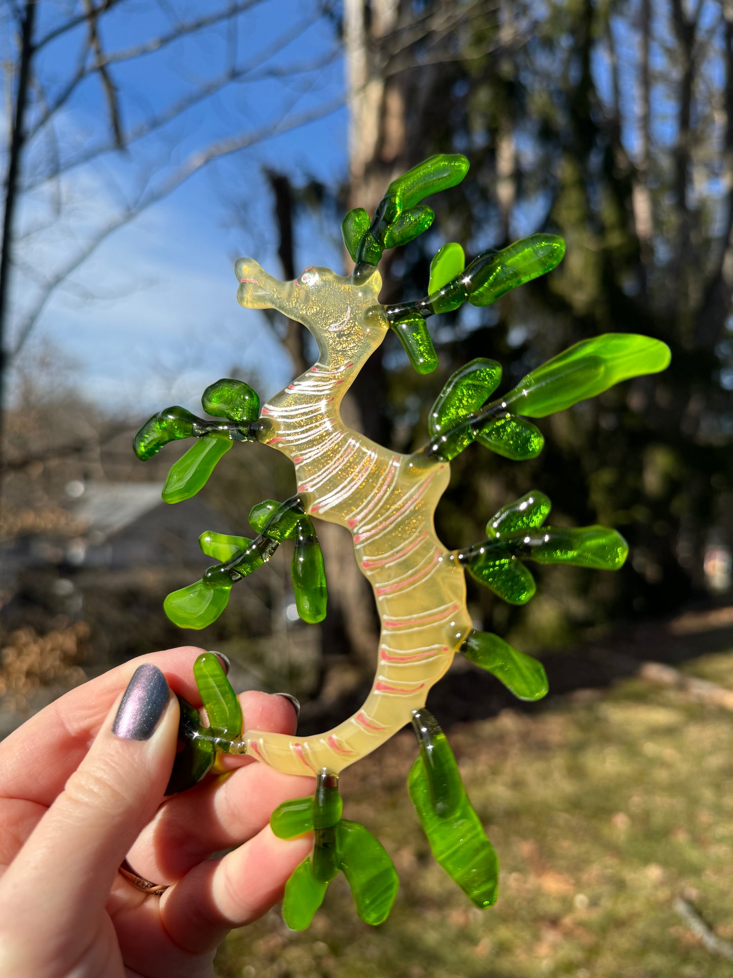 Leafy Sea Dragon Suncatcher