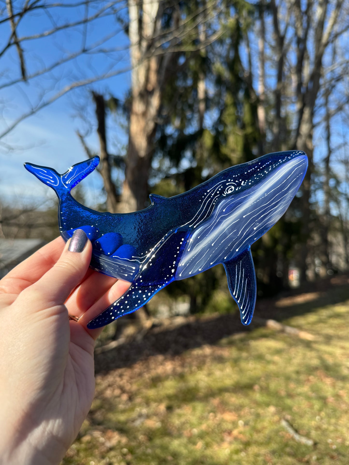 Humpback Whale Suncatcher