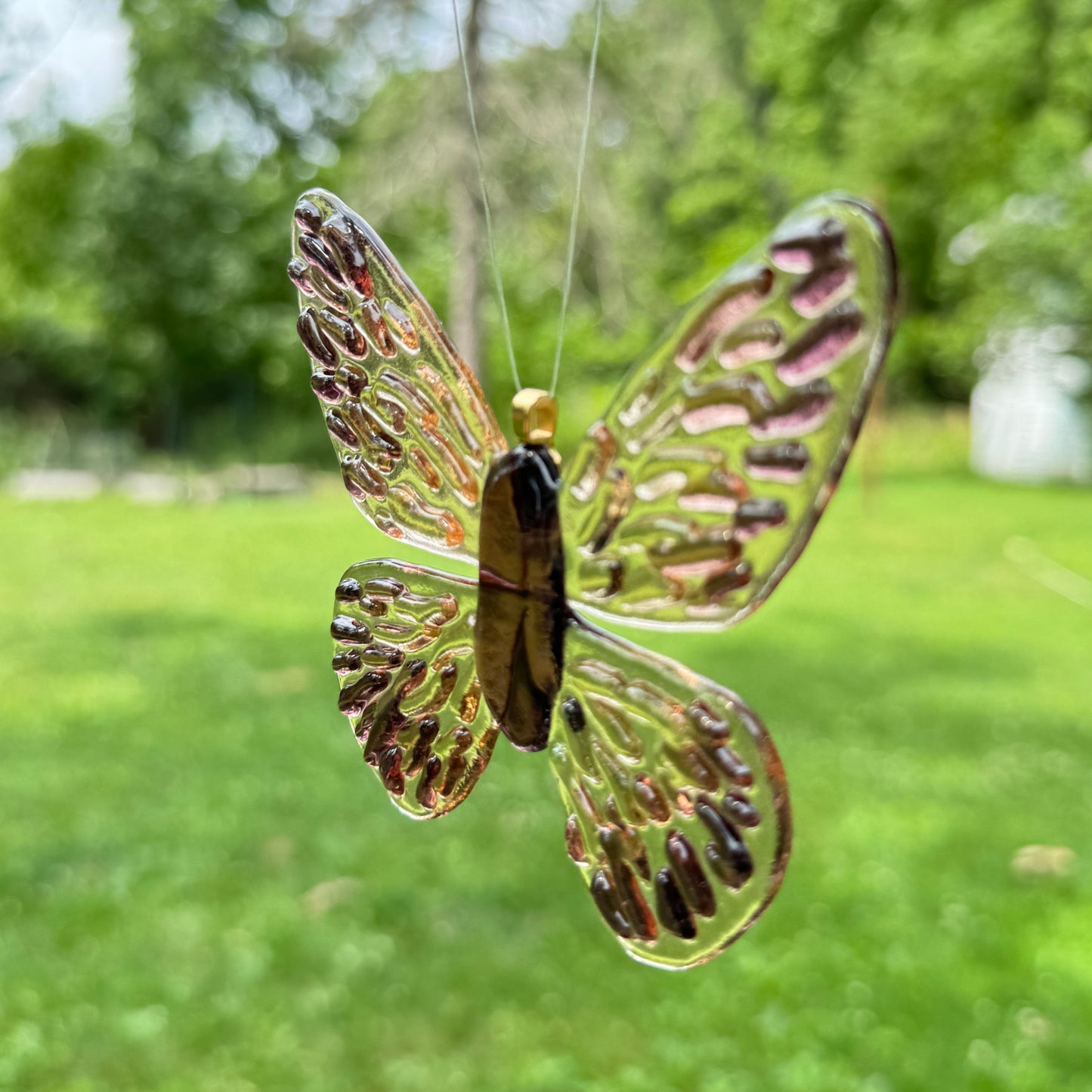 Transparent Groovy Butterfly