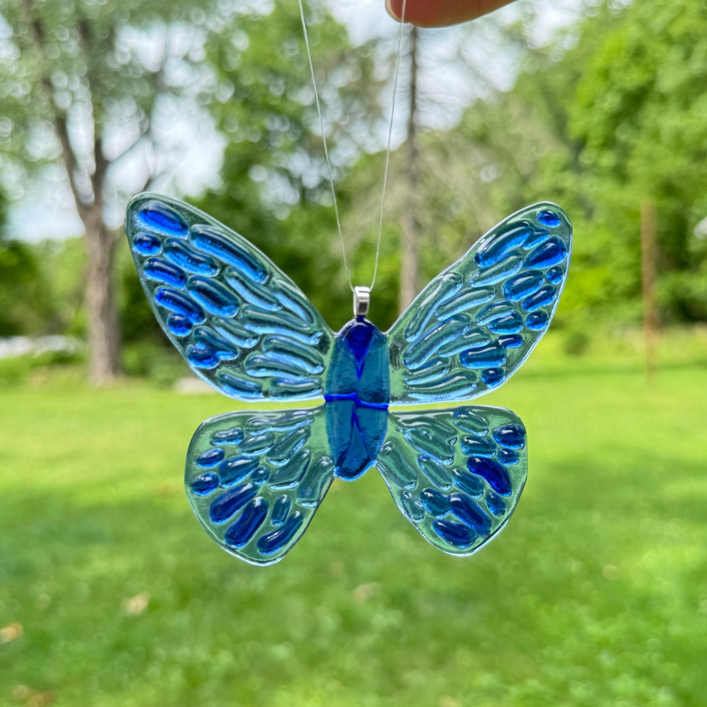 Transparent Groovy Butterfly