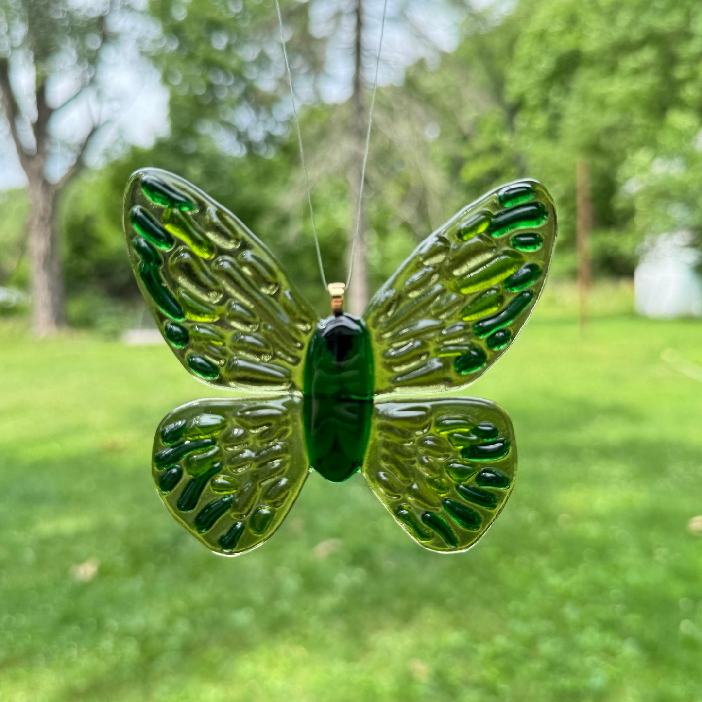 Transparent Groovy Butterfly