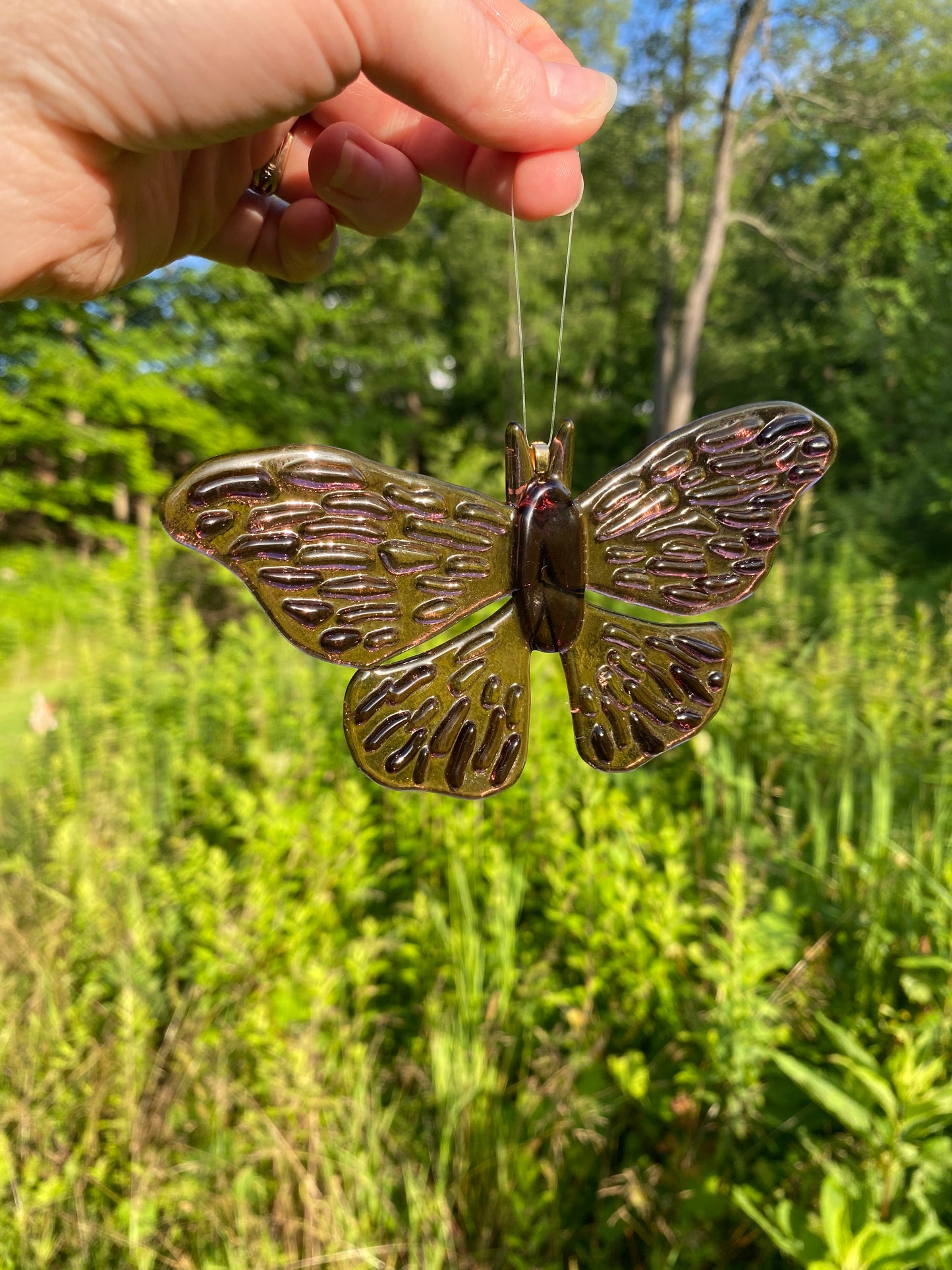 Groovy Moth Suncatcher