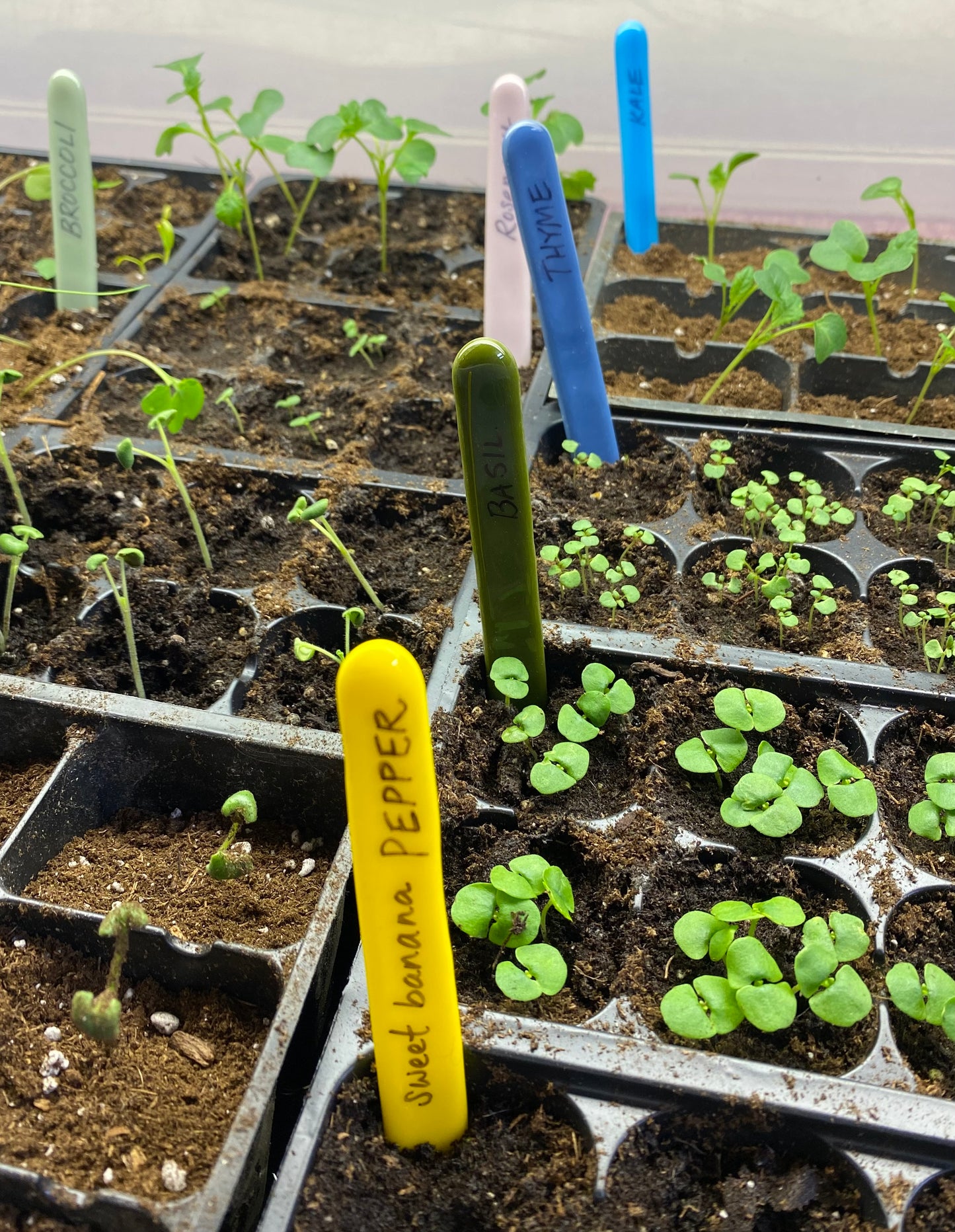 Garden Stakes - Custom Plant Labels