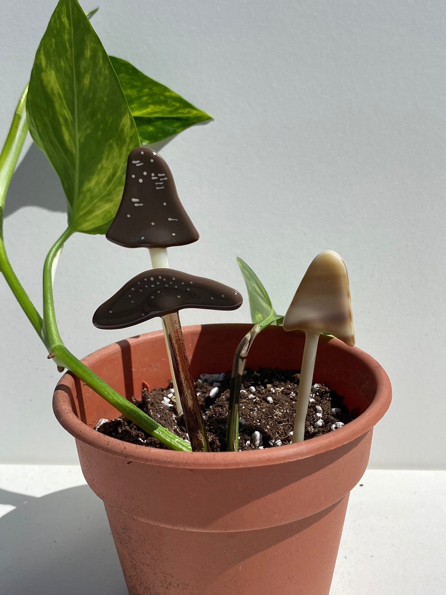 Mystery Set of Mushroom Plant Stakes - Handmade Glass