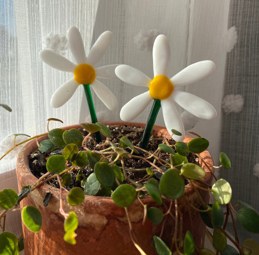 Daisy Plant Stake