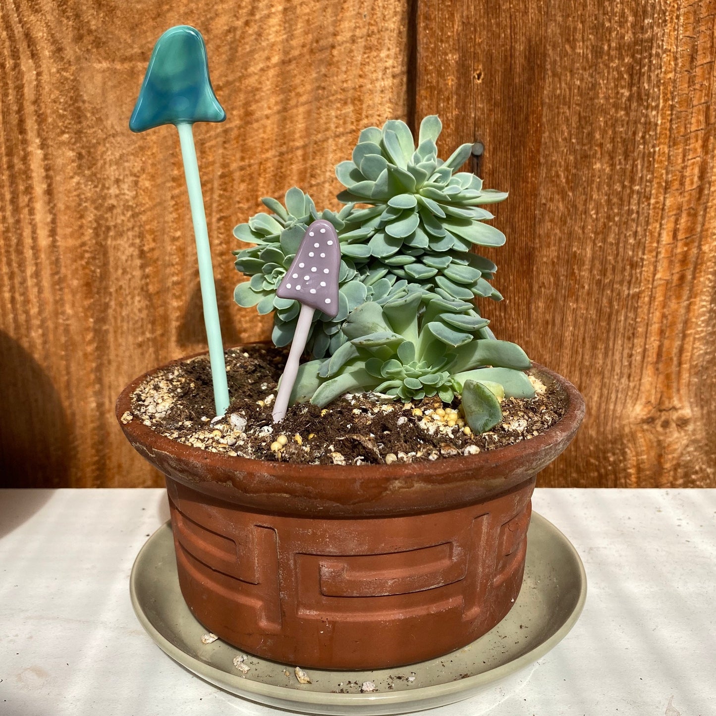 Mystery Set of Mushroom Plant Stakes - Handmade Glass