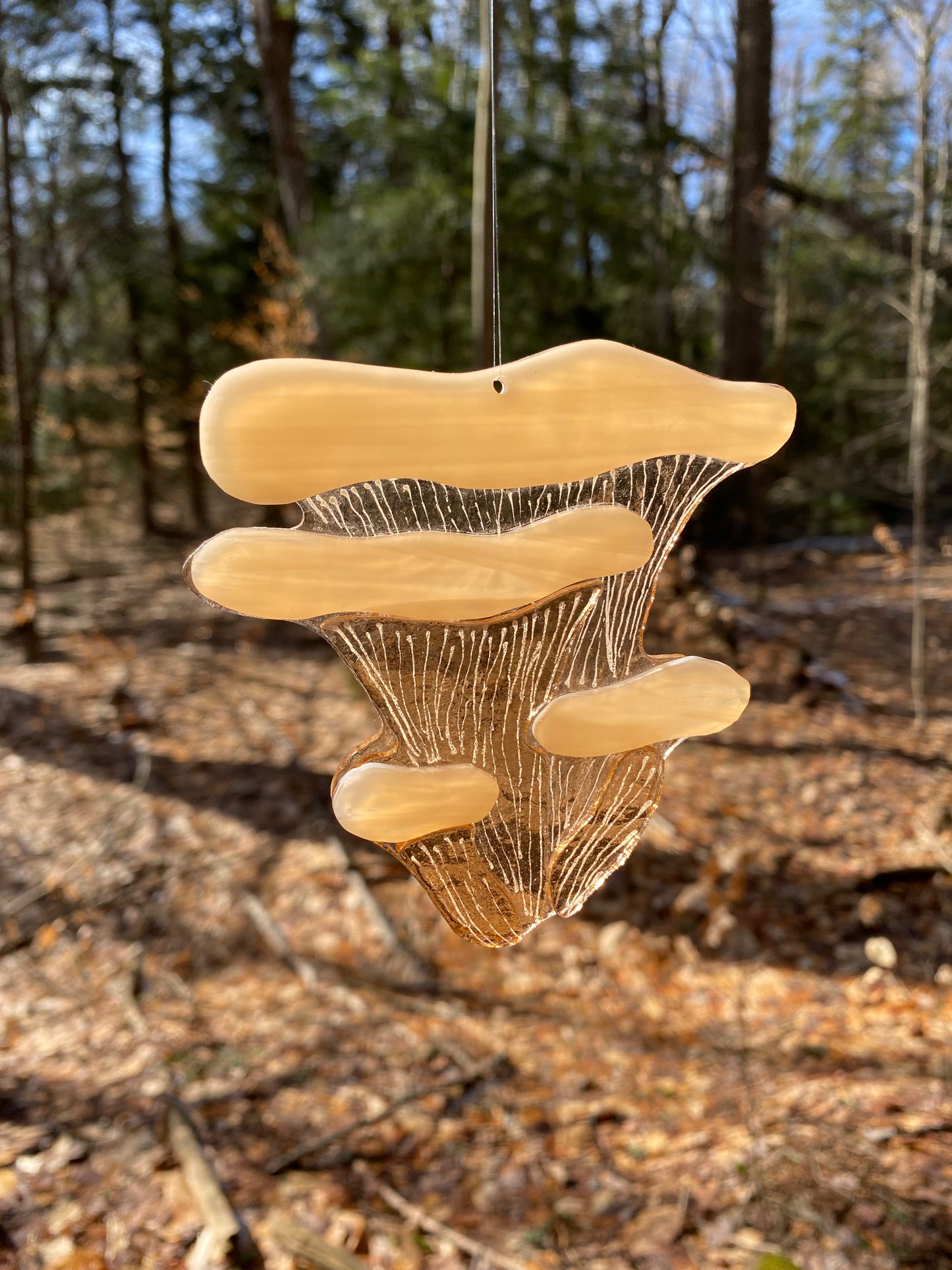 Pink Oyster Mushroom Window Hanger