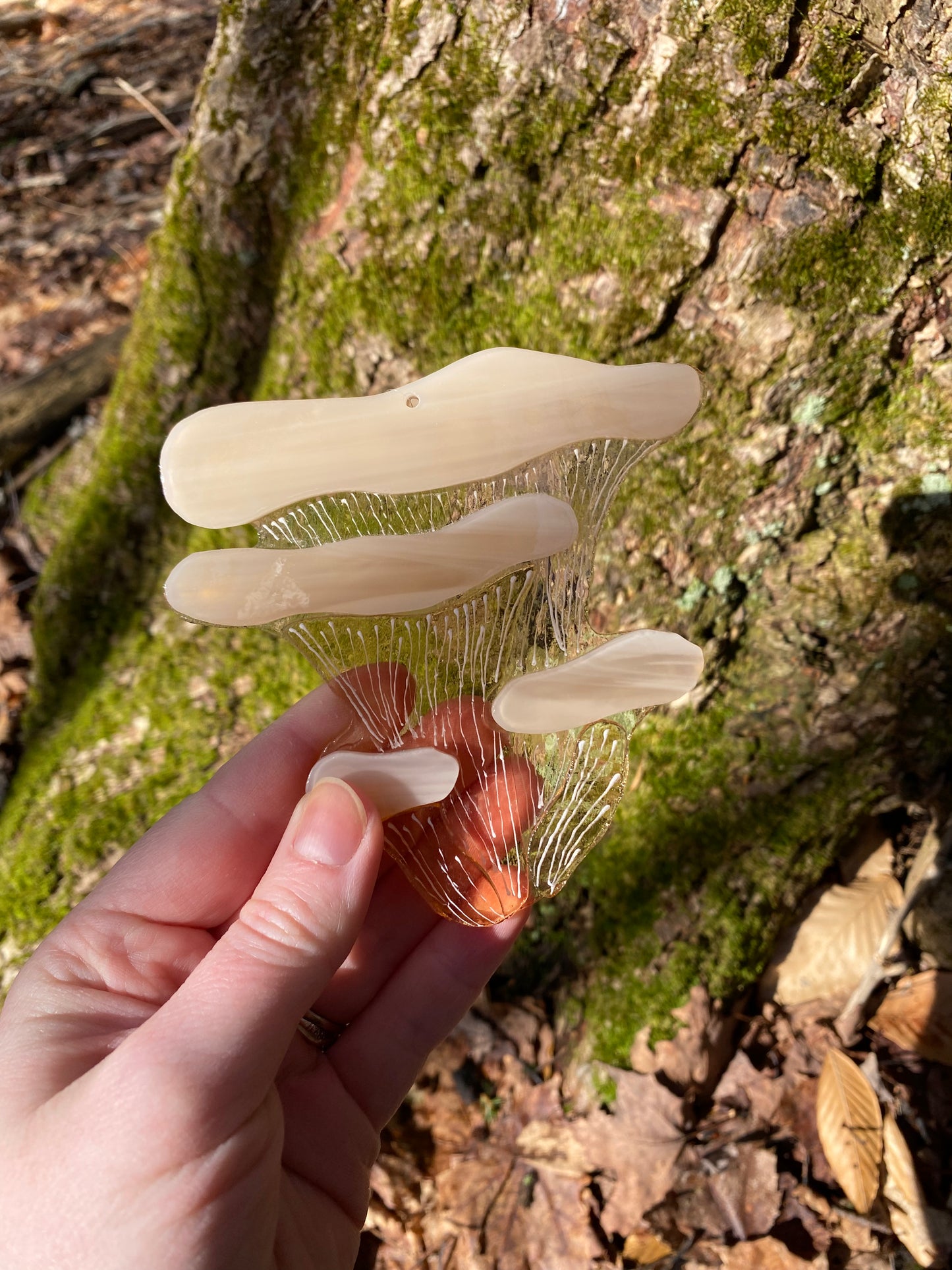 Pink Oyster Mushroom Window Hanger