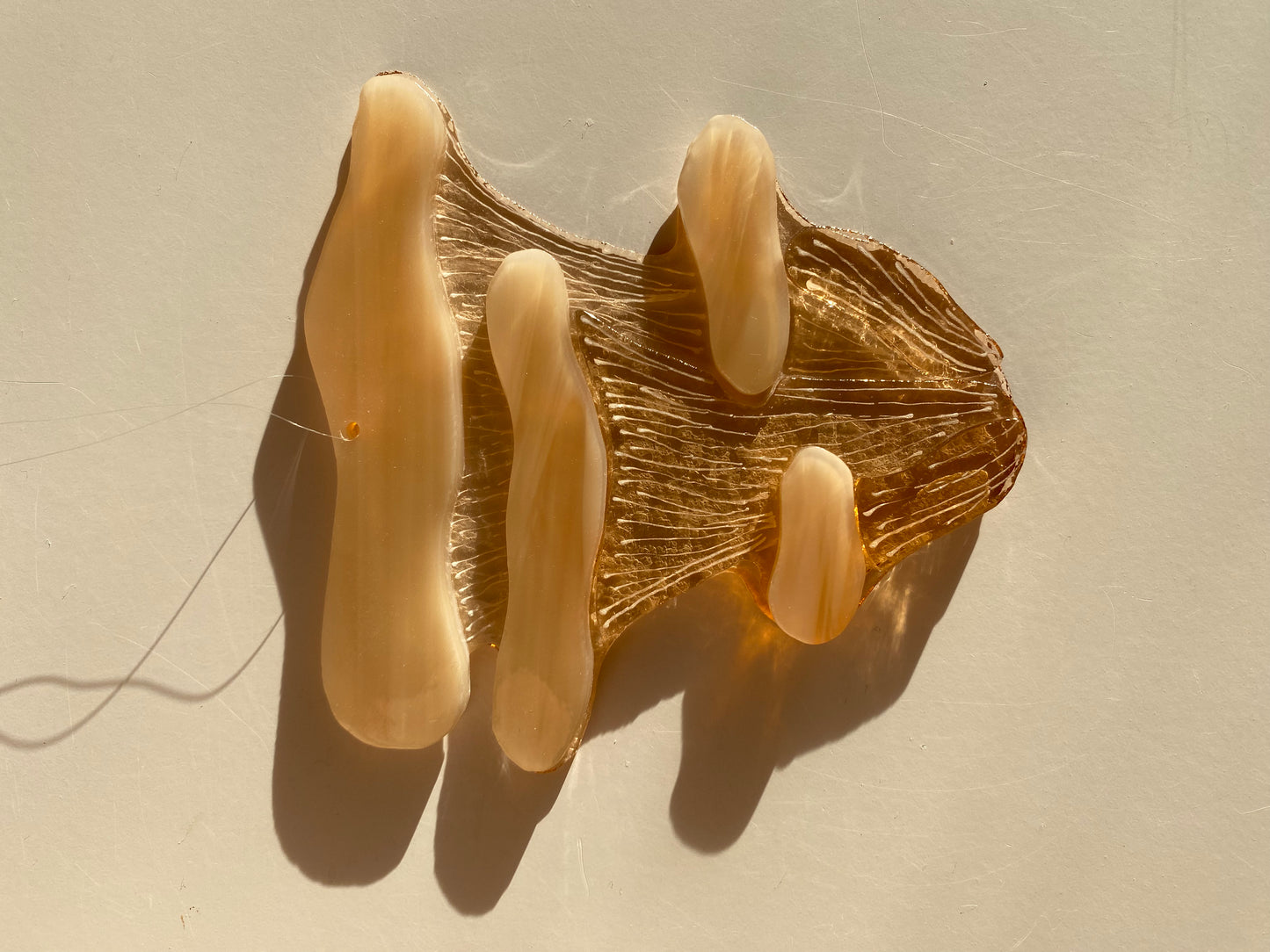 Pink Oyster Mushroom Window Hanger