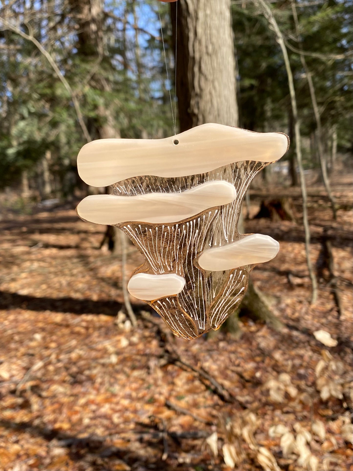 Pink Oyster Mushroom Window Hanger