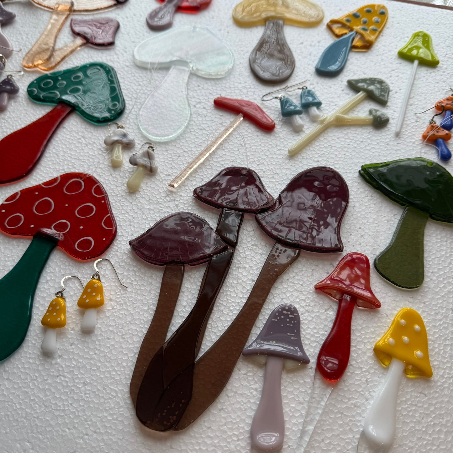 Mushroom Mystery Box