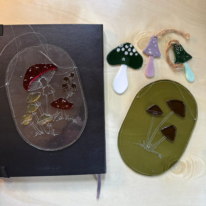 Mushroom Mystery Box
