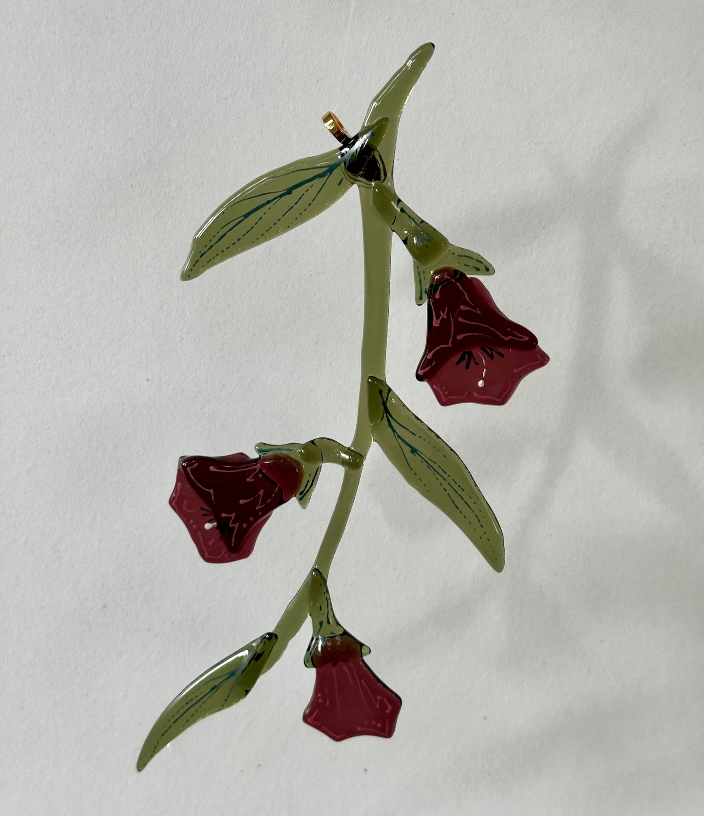 Belladonna Flowers