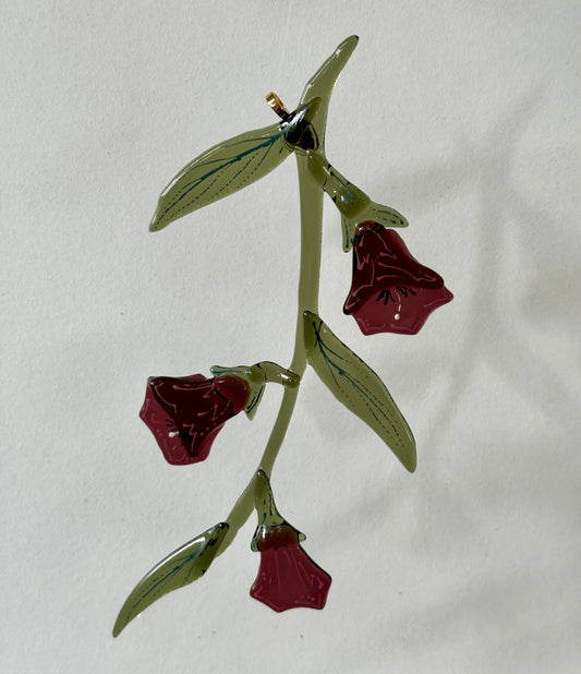 Belladonna Flowers