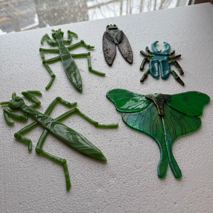 Bug Mystery Box