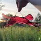 Magical Cat Sun Catcher