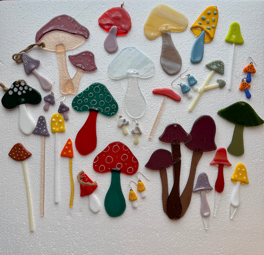 Mushroom Mystery Box