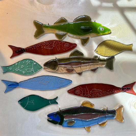 Fish Mystery Box