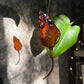 Mouse Sun Catcher