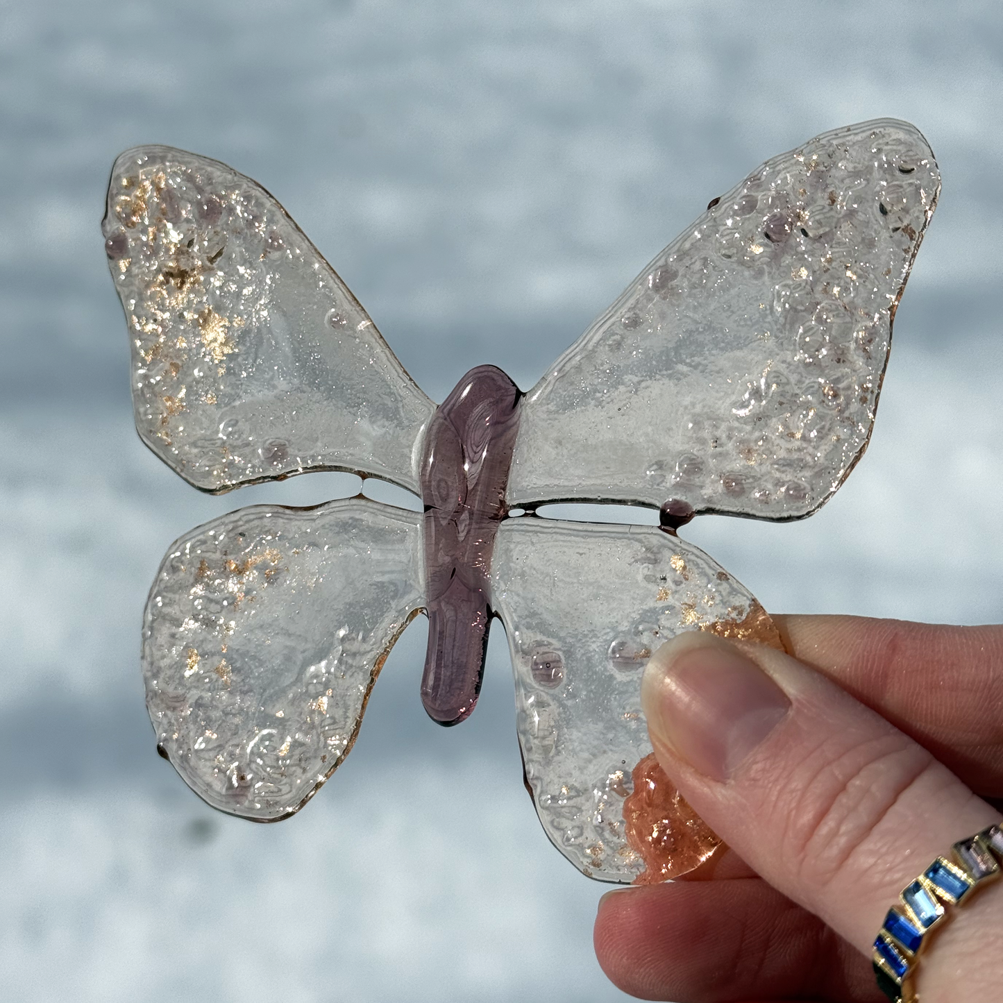 Metamorphosis Butterflies