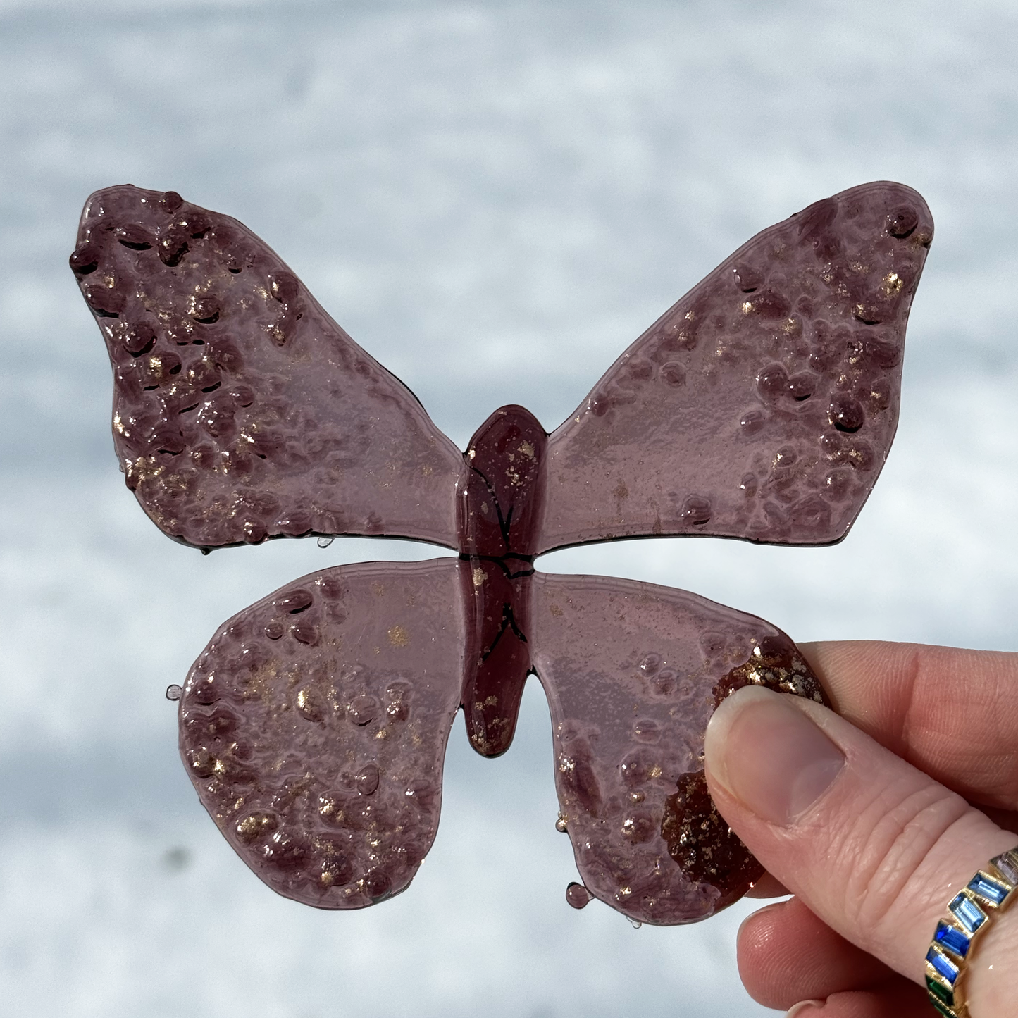 Metamorphosis Butterflies