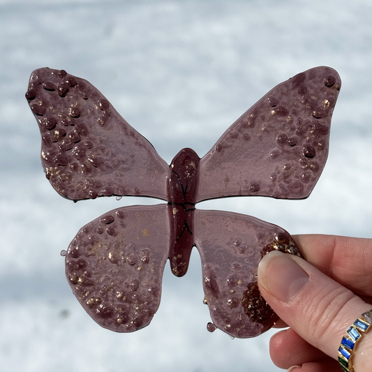 Metamorphosis Butterflies