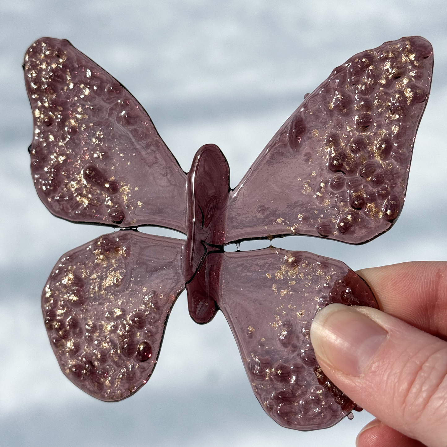 Metamorphosis Butterflies