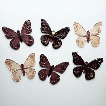 Metamorphosis Butterflies