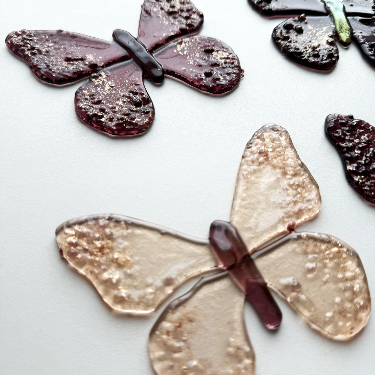 Metamorphosis Butterflies