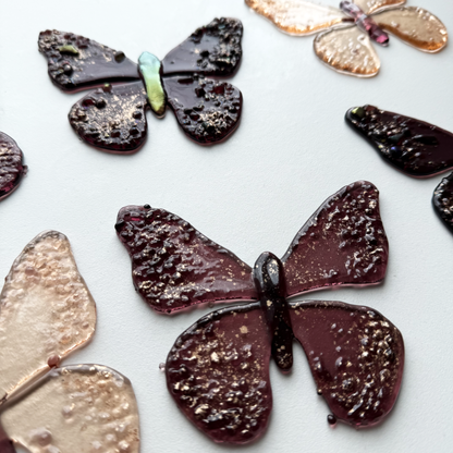 Metamorphosis Butterflies