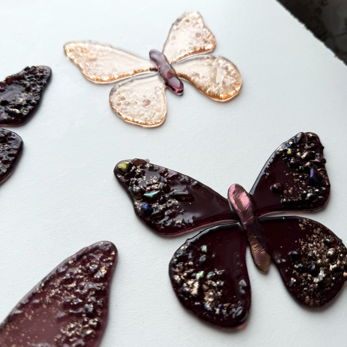 Metamorphosis Butterflies