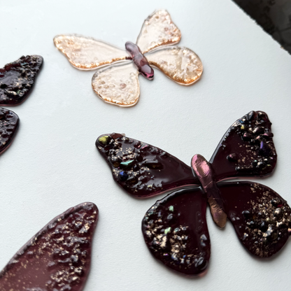 Metamorphosis Butterflies