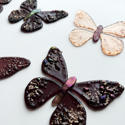 Metamorphosis Butterflies