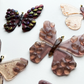 Metamorphosis Butterfly - Original Small