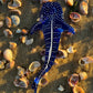 Whale Shark Suncatcher
