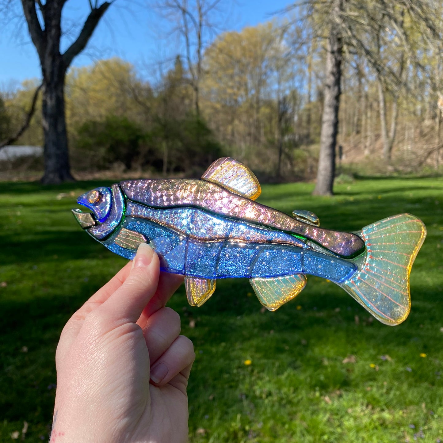 Iridescent Rainbow Trout Sun Catcher