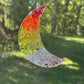 Rainbow Moon Sun Catcher