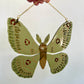Olive Green Moth Suncatcher
