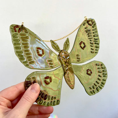 Olive Green Moth Suncatcher