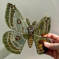 Olive Green Moth Suncatcher