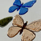 Small Butterfly Suncatcher