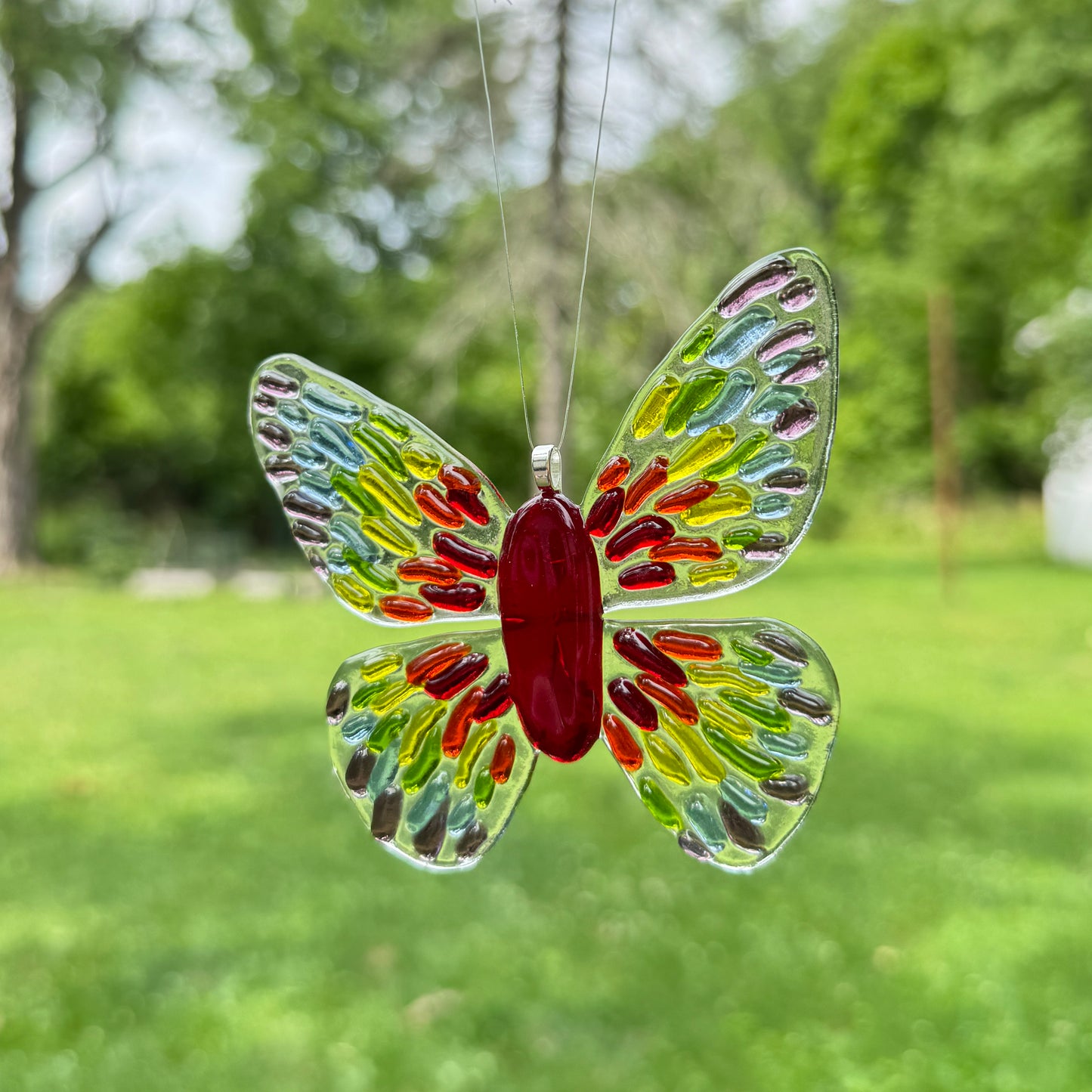 Transparent Rainbow Groovy Butterfly