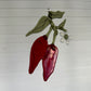 Hot Peppers Suncatcher