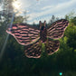 Groovy Moth Suncatcher