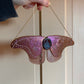 Iridescent Violet Moth