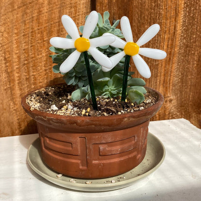 Daisy Plant Stake